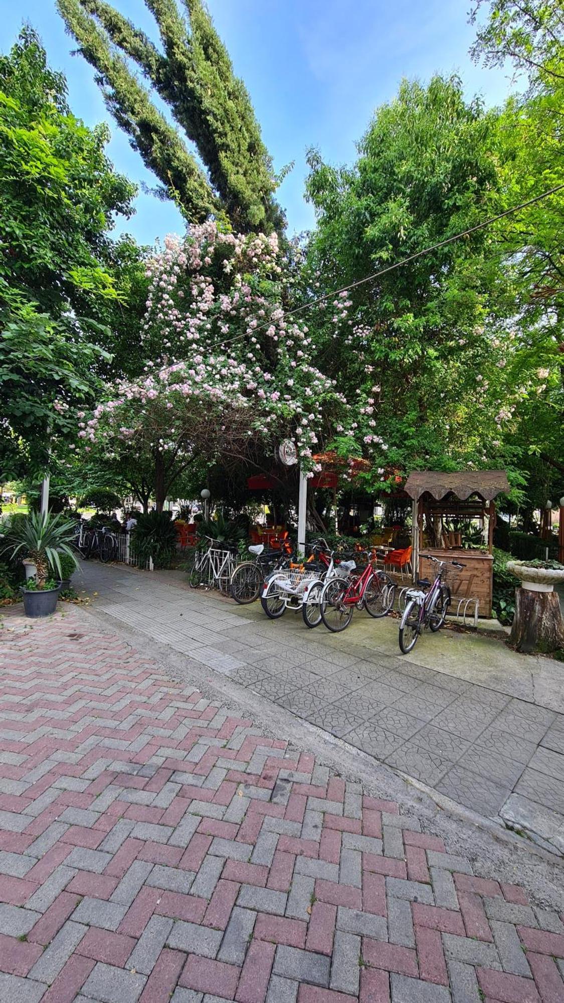 Dei Cozy Apartment Shkodër Екстериор снимка
