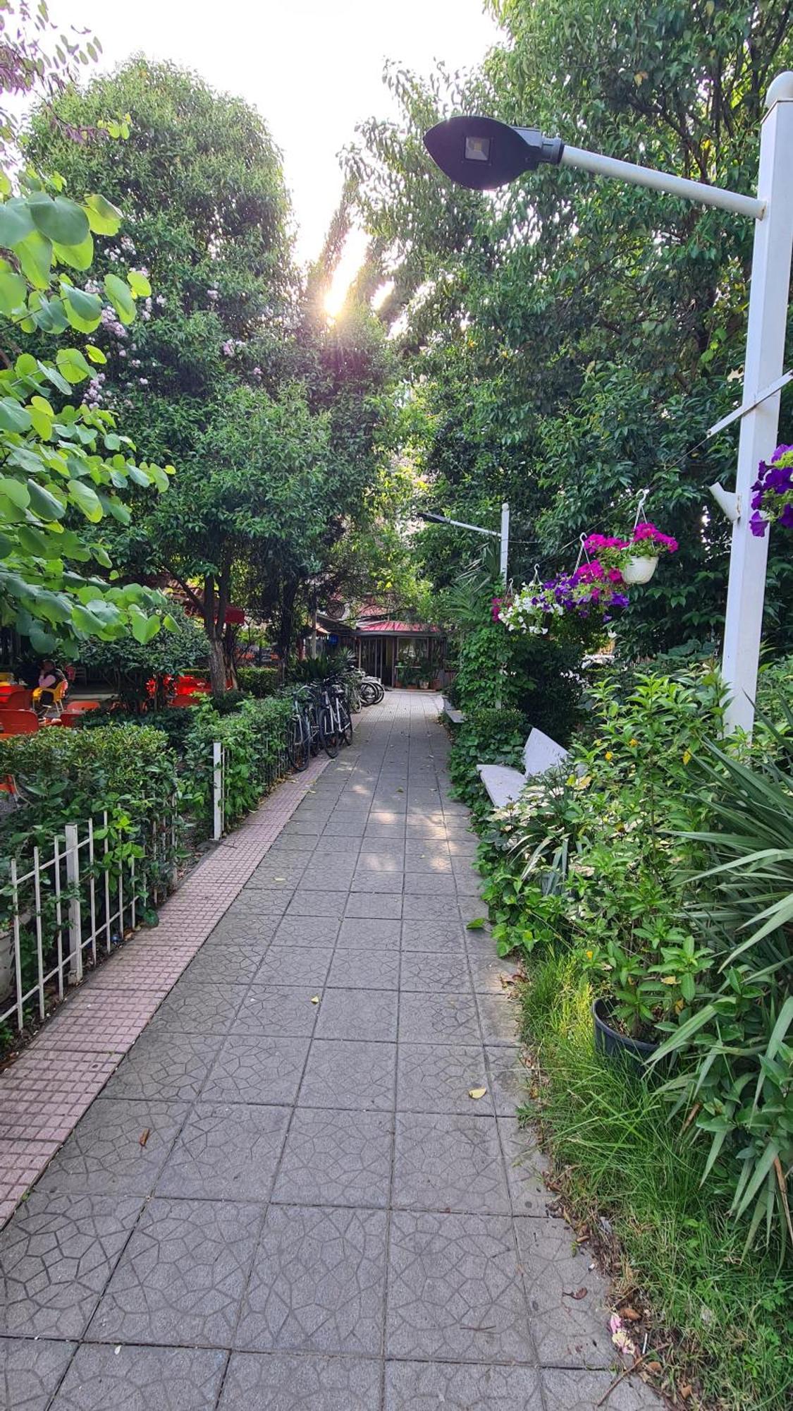 Dei Cozy Apartment Shkodër Екстериор снимка